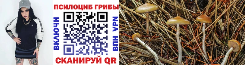 Галлюциногенные грибы Cubensis  Тутаев 